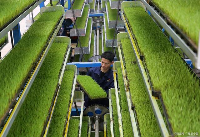 湖南长沙 智能化“育秧工厂”助力春耕提速增效
